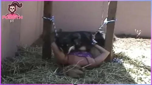 Dog Sex